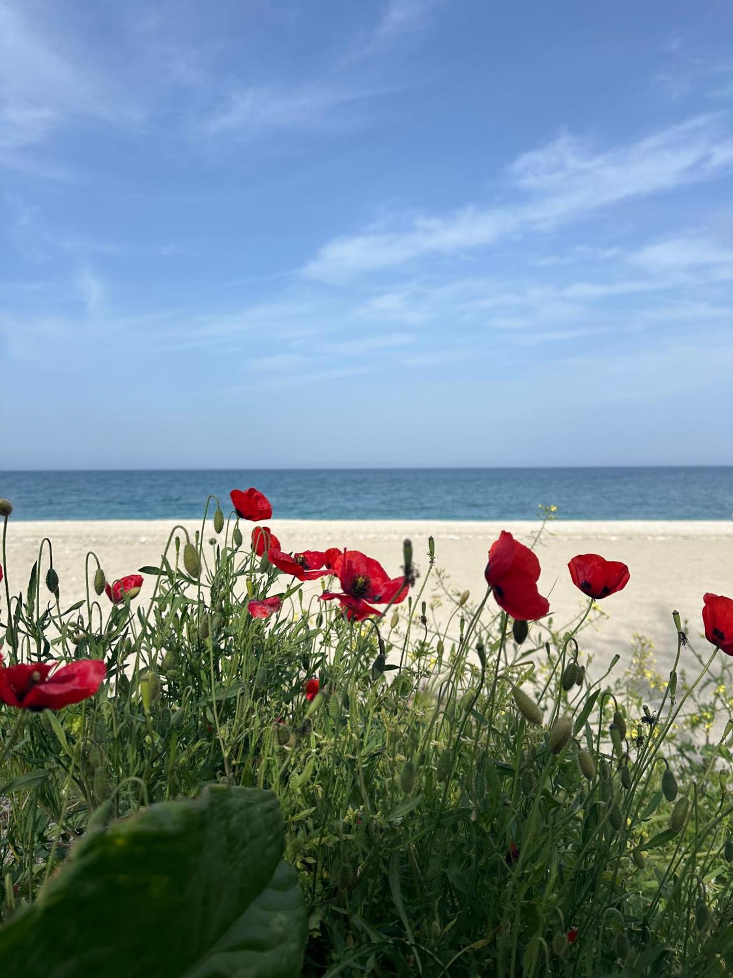 Amelia Beach Apartments Agios Ioannis  Luaran gambar